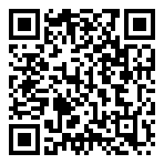 QR-Code - Logo - Fastgaming