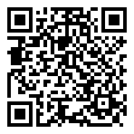 QR-Code - Blue_White Business